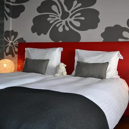 Bed & Breakfast Flowerzzz... Rotterdam