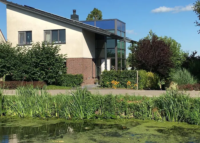 Flowerzzz... Rotterdam