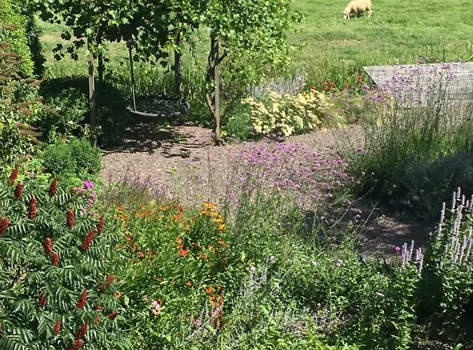 Bed & Breakfast Flowerzzz...