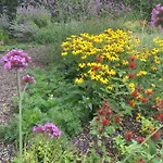 Flowerzzz...