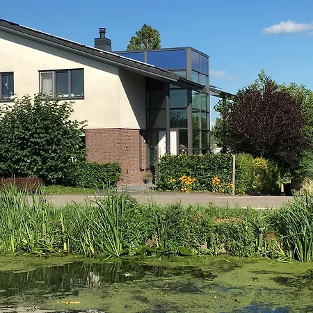 Flowerzzz... Rotterdam