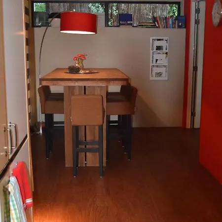 Flowerzzz... * Rotterdam