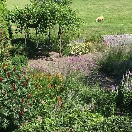 Bed and breakfast Flowerzzz...