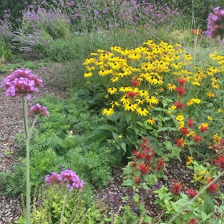 Flowerzzz...