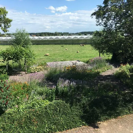 Flowerzzz... B&B 로테르담