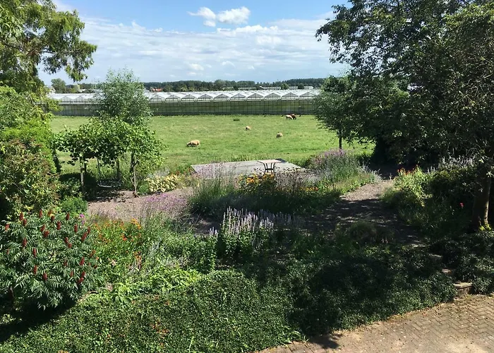 Flowerzzz... Oda ve Kahvaltı Rotterdam